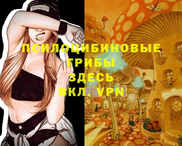 индика Богданович