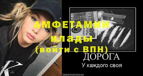 шишки Богородск