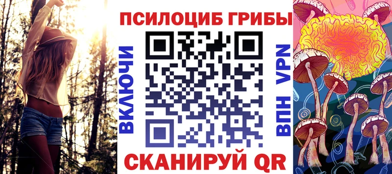 Псилоцибиновые грибы Psilocybine cubensis  Весьегонск 